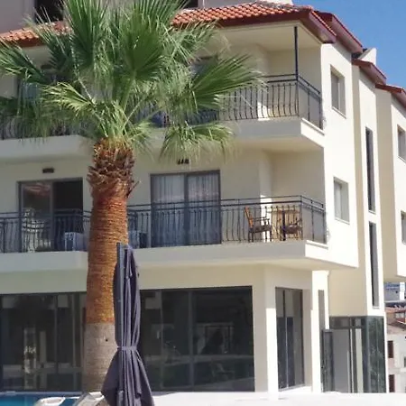 Palmera
