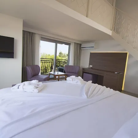 Palmera Appartement *
